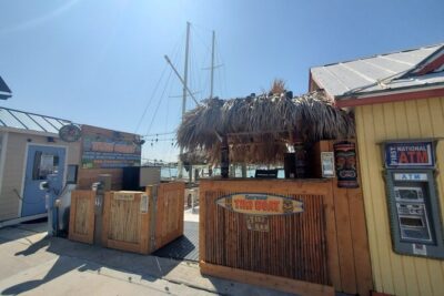 1,5h Tiki Tour with Unlimited Alcoholic Drinks, Clearwater Beach - What You’ll See: Celebrity Mansions, Clearwater Harbor, and Dolphin Time