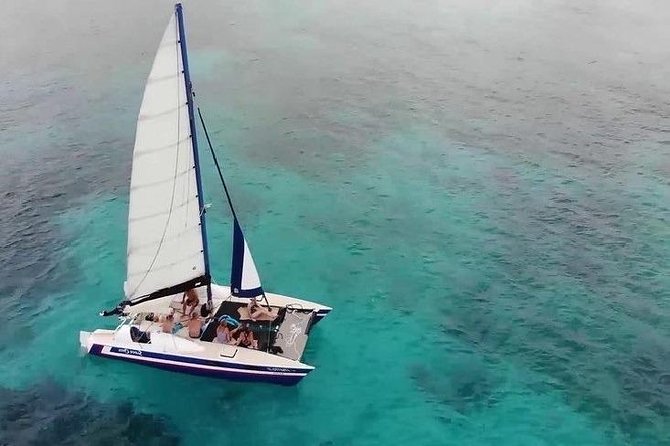 Barbados Catamaran Snorkel Cruise with Lunch and Open Bar - Price and Value: Why $110 Feels Fair for a Full Half-Day