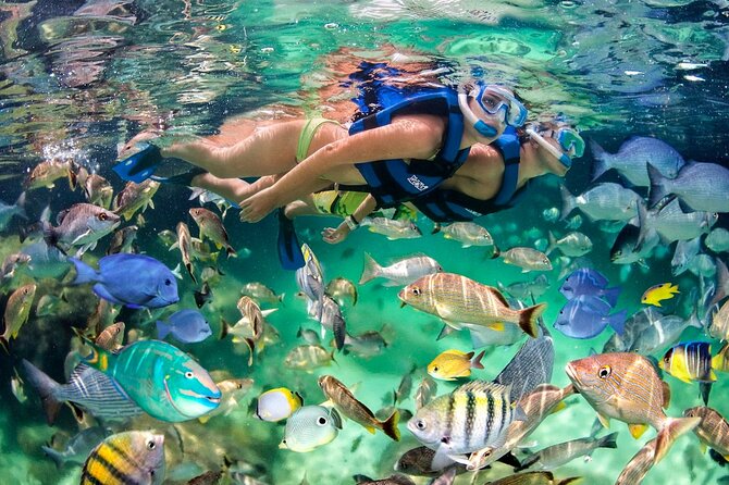 Catamaran party in Punta Cana with open bar, music and more - Price and logistics: hotel pickup, mobile ticket, and the one thing to double-check