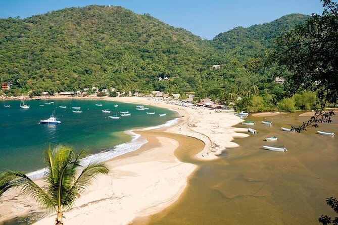 Catamaran Yelapa Beach Tour with Snorkeling, Food and Open Bar - Key highlights you’ll care about