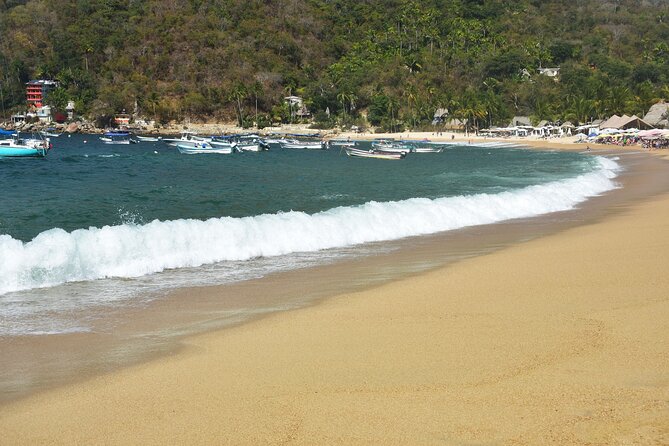 Catamaran Yelapa Beach Tour with Snorkeling, Food and Open Bar - Food on the beach: choices matter more than you’d think