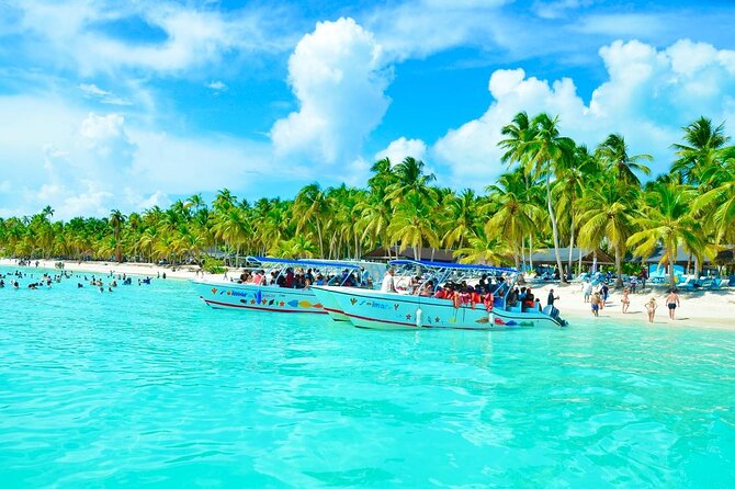 Day Trip to Saona Island with Lunch and Open Bar - Quick Hits: What You’ll Notice on Saona