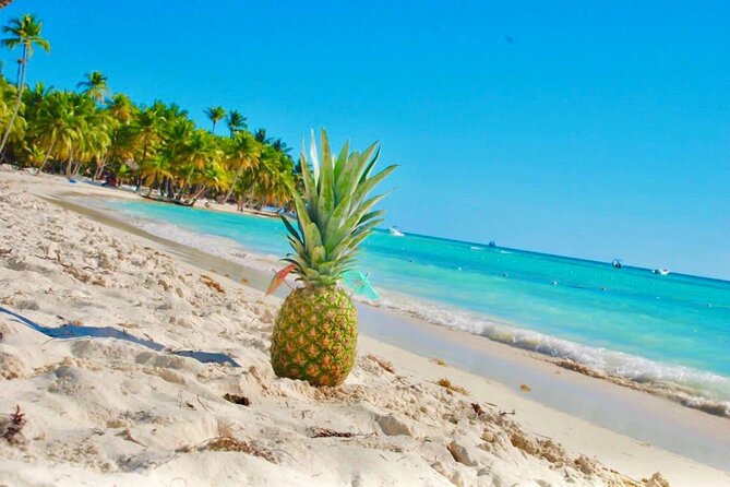 Day Trip to Saona Island with Lunch and Open Bar - Eastern National Park Stop: What the Protected Area Adds