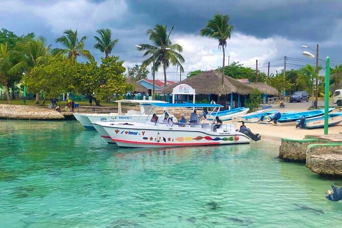 Day Trip to Saona Island with Lunch and Open Bar - Mano Juan Natural Pools: Shallow Water Fun (With Real-World Limits)