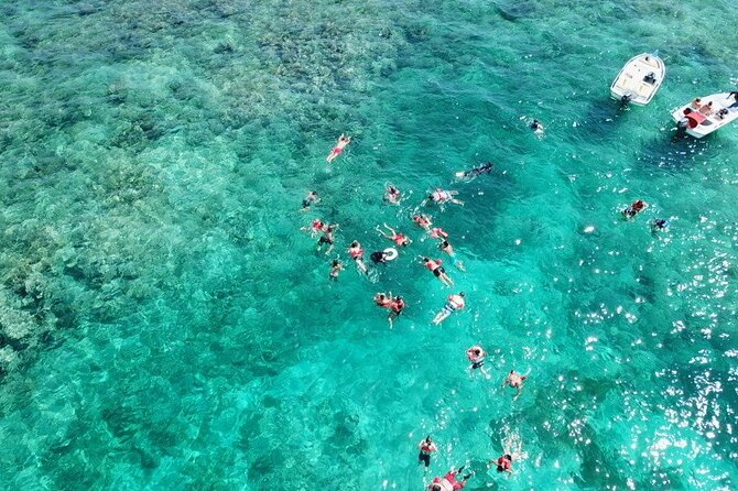 Float & Feast Private Party Cruise with Premium Buffet & Open Bar - Snorkeling gear included: what you should expect from the water time