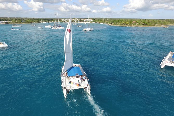 From Punta Cana: Saona Island & Altos de Chavon Day Trip with Lunch and Open Bar - The natural swimming pool stop: quick splash, big payoff