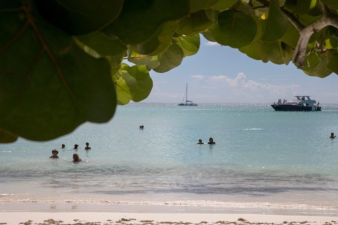 From Punta Cana: Saona Island & Altos de Chavon Day Trip with Lunch and Open Bar - Food and open bar: what’s included and where things can get messy