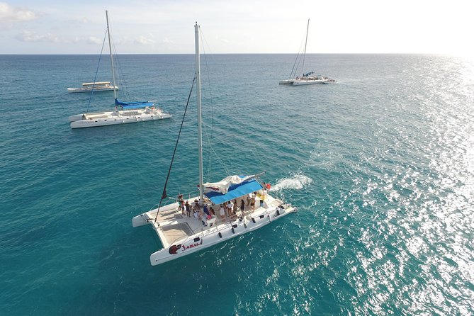 From Punta Cana: Saona Island & Altos de Chavon Day Trip with Lunch and Open Bar - What you actually get for $99 (and who it’s best for)