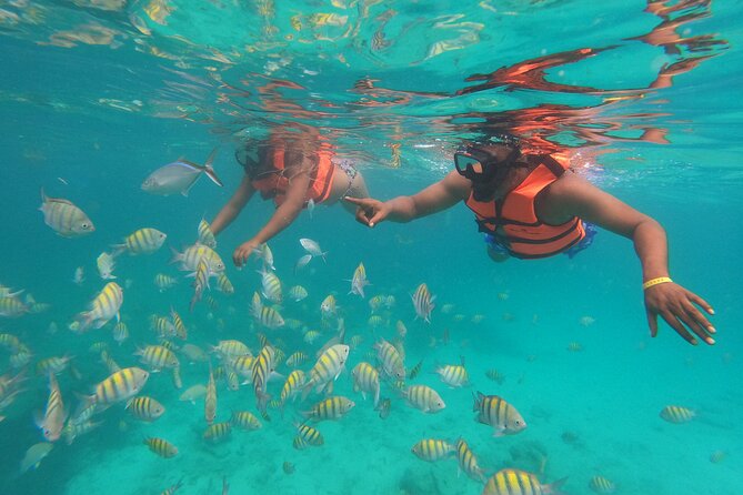 Full Day ATV Experience and Booze Cruise with Open Bar - Snorkeling catamaran: sanitized gear, lifeguard support, and reef time