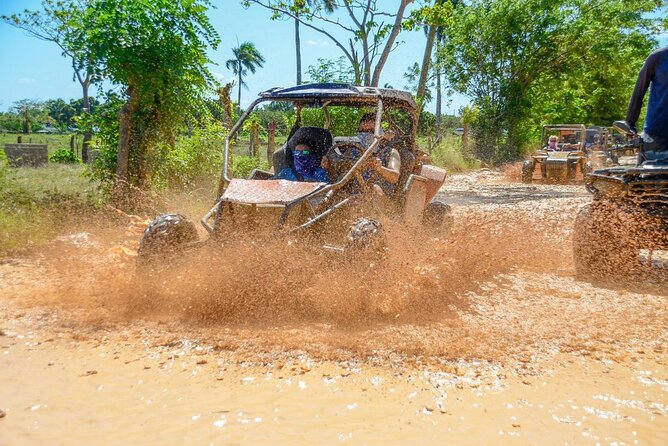 Full-day Buggy & Party Boat tour: snorkel, open bar, cave pool - Open Bar on the Boat: Music, Dancing, and Refilled Cups