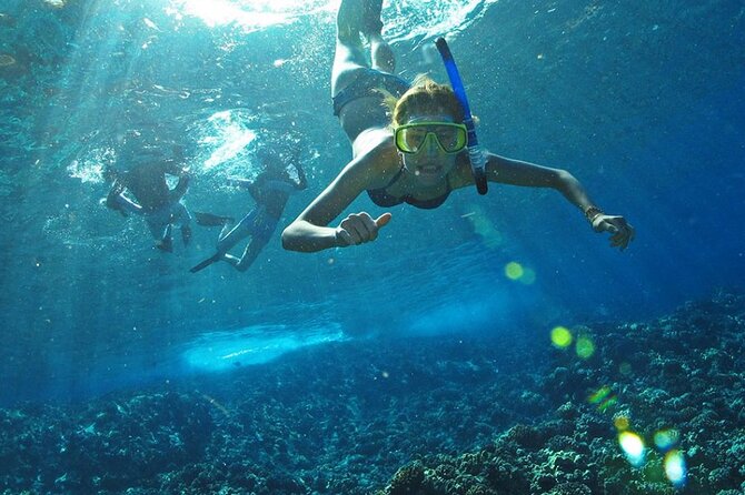 Full Day Tour Isla Marietas with Meals and Open Bar - Fees and conservation: the costs you should budget up front