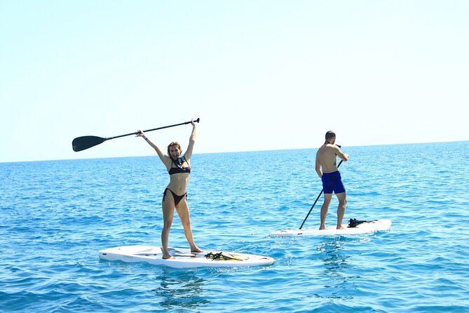 Half Day Cabo Snorkel Adventure with Lunch and Open Bar - The catamaran experience: bars, comfort, and a real crew vibe
