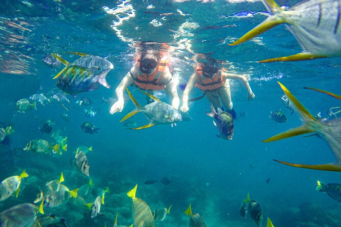 Half Day Cabo Snorkel Adventure with Lunch and Open Bar - Lunch and open bar while you cruise the Cabo highlights