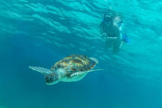 Half Day Luxury Sailing Experience in Riviera Maya with Open Bar - Open bar sailing: Drinks, service style, and how the crew keeps it easy
