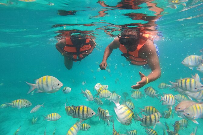 Half-Day Snorkeling Cruise and Natural Pool with Open Bar - Key Things I’d Focus On Before You Go