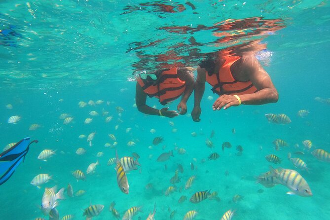 Half-Day Snorkeling Cruise and Natural Pool with Open Bar - Price and Value: Why $59 Can Feel Like a Win