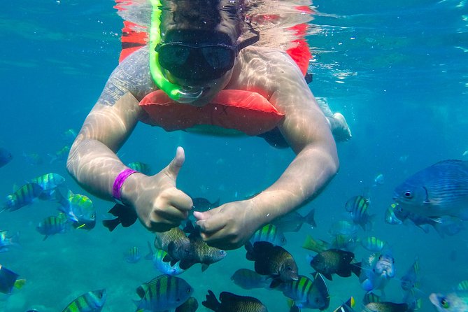 Las Caletas Beach & Adventure Park with buffet lunch and open bar - Transfers Back: The Return Cruise Is Part of the Fun