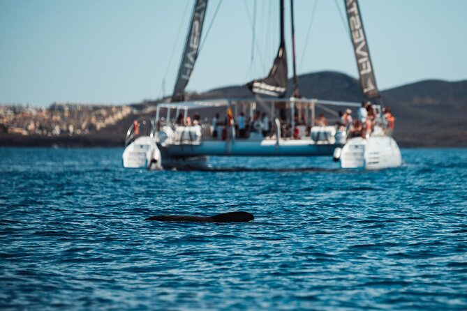 Luxury Catamaran Cruise with Brunch and Unlimited Drinks - After brunch: swim time and how to spend your free moments