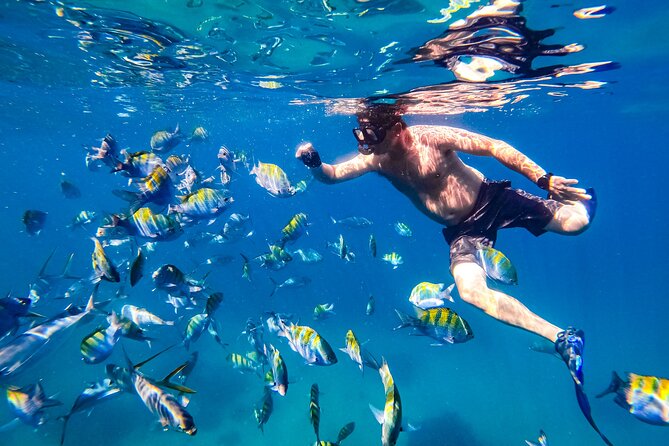 Luxury Yacht & Snorkel with All inclusive Open bar and lunch - Snorkeling with provided gear: what to expect in real terms