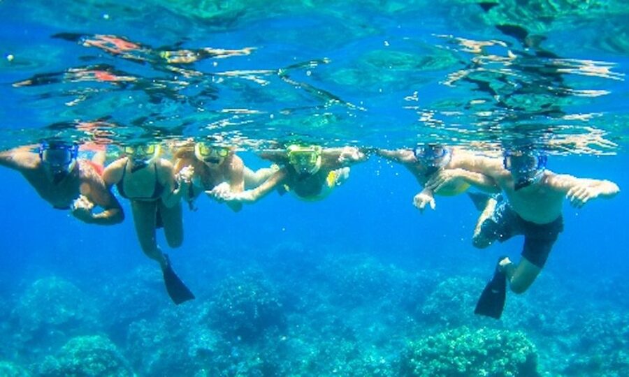 Maui: Kaanapali Beach 4-hour Snorkel w/ BBQ Lunch & Open Bar - The main event: west Maui snorkeling for turtles and reef fish