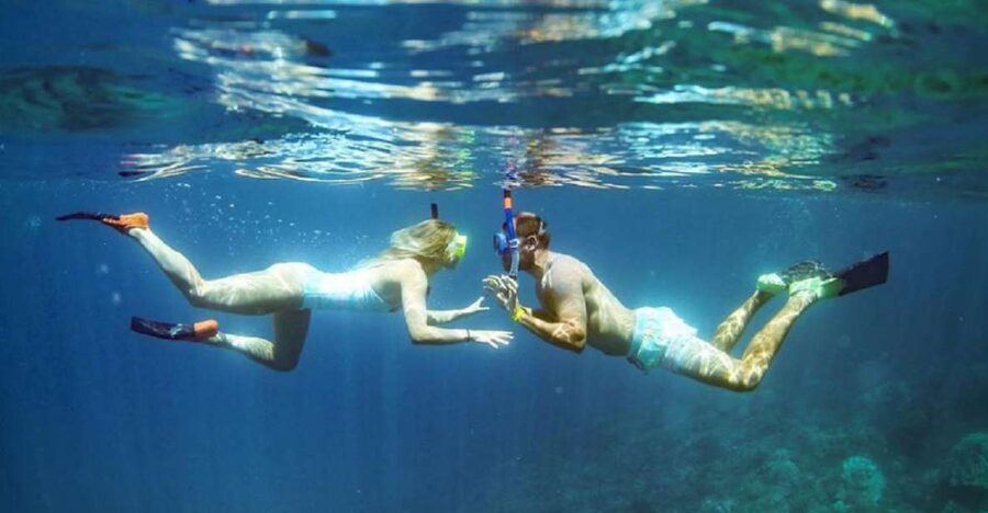 Maui: Kaanapali Beach 4-hour Snorkel w/ BBQ Lunch & Open Bar - The open bar: what’s included and what to plan for