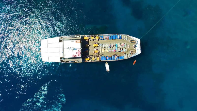 Paphos: Wave Dancer Half-Day Cruise with BBQ and Open Bar - Comfort details that make a half-day cruise feel worth it