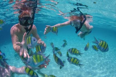 Private Luxury Sailing Cruise in Los Cabos with Lunch and Open Bar - Meeting at the marina: pickup, footwear, and getting settled fast