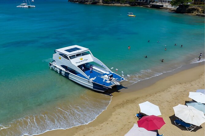 Puerto Plata Catamaran Cruise with Snorkeling, BBQ & Open Bar - From Amber Cove or Taino Bay to the Beach Ladder: logistics that matter