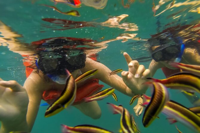 Puerto Vallarta: Marietas Islands with Open Bar and Food - Lunch and open bar: when the day turns social
