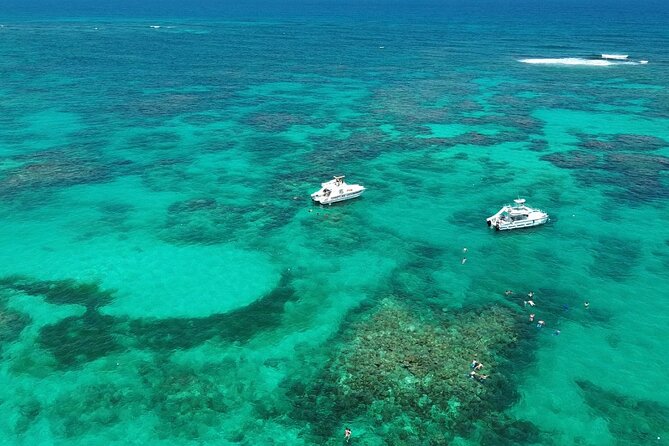 Punta Cana: Catamaran Tour, Reef Snorkeling and Unlimited Drinks! - Key things I’d zero in on
