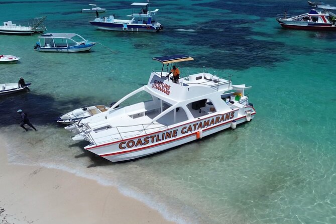 Punta Cana: Catamaran Tour, Reef Snorkeling and Unlimited Drinks! - Crew and vibe: the human factor matters on a short tour
