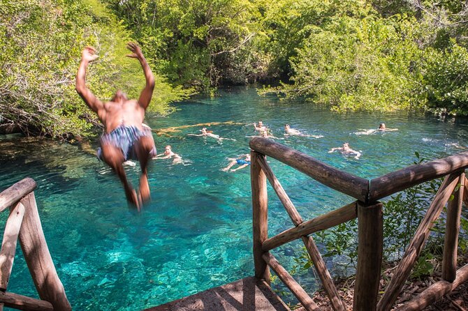 Punta Cana Lagoon Tour with Lunch, Boat Cruise, Open Bar - Key Things That Make This Tour Worth a Look