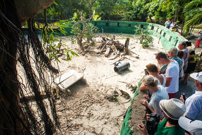 Punta Cana Lagoon Tour with Lunch, Boat Cruise, Open Bar - Lunch (Traditional Argentine BBQ) and the snack reality