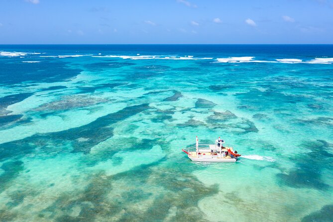 Punta Cana Private Catamaran with Snorkeling, Lunch & Open Bar - Open Bar Cocktails: Fun Included, with a Real Age Limit