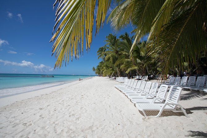 Saona Island Day Trip From Punta Cana with Lunch and Open Bar - Speedboat to the natural swimming pool (starfish time)