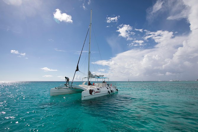 Saona Island Day Trip From Punta Cana with Lunch and Open Bar - Lunch on the island and snacks along the way