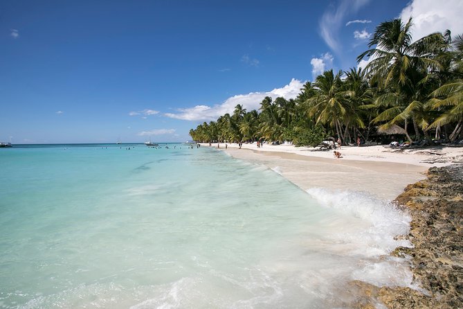 Saona Island Day Trip From Punta Cana with Lunch and Open Bar - The open bar: what you’re actually getting