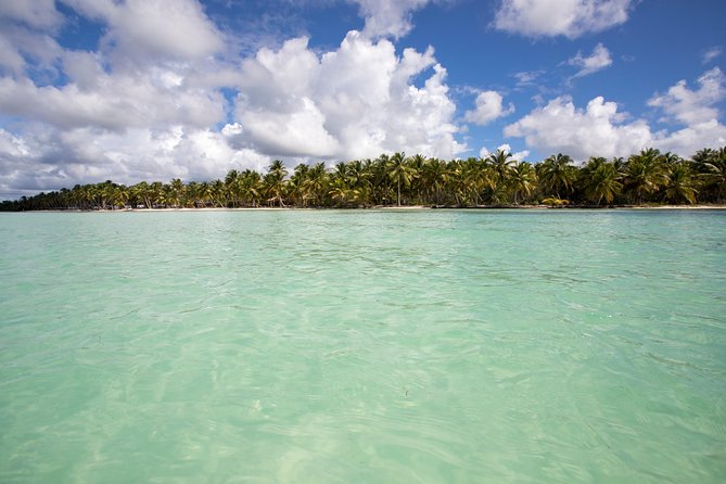 Saona Island Day Trip From Punta Cana with Lunch and Open Bar - The return ride on a catamaran (dancing included)