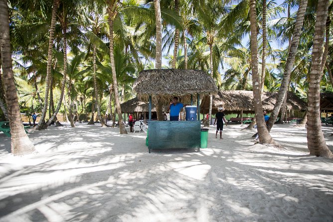 Saona Island Day Trip From Punta Cana with Lunch and Open Bar - Price and value: is $82 a good deal?