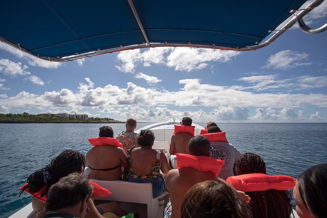 Saona Island Day Trip From Punta Cana with Lunch and Open Bar - Small things that can make or break your Saona day