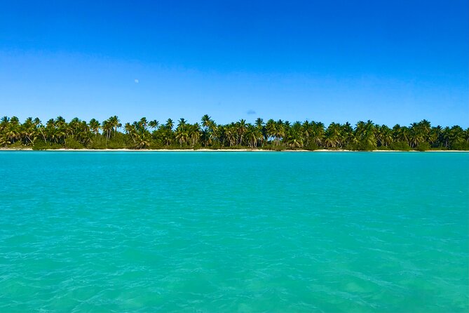 Saona Island Full Day Tour with Buffet Lunch, Paella, & Open Bar - Saona Island Time: Beach, Snorkel Chance, and Island Relaxation