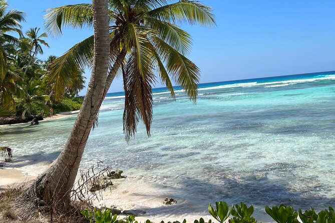 Saona Island Full Day Tour with Buffet Lunch, Paella, & Open Bar - Paella Lunch and Open Bar Value: What You’re Actually Paying For