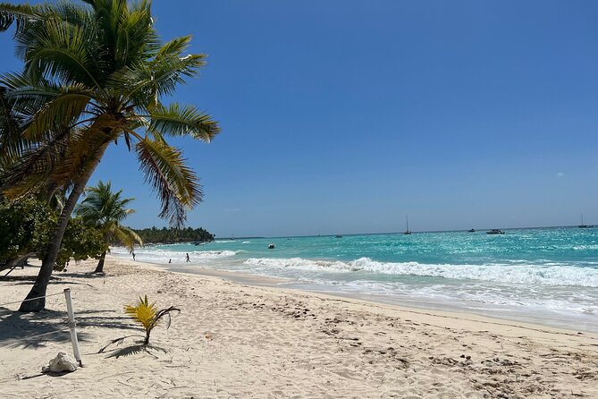 Saona Island Full Day Tour with Buffet Lunch, Paella, & Open Bar - Price, Timing, and Who Should Choose This