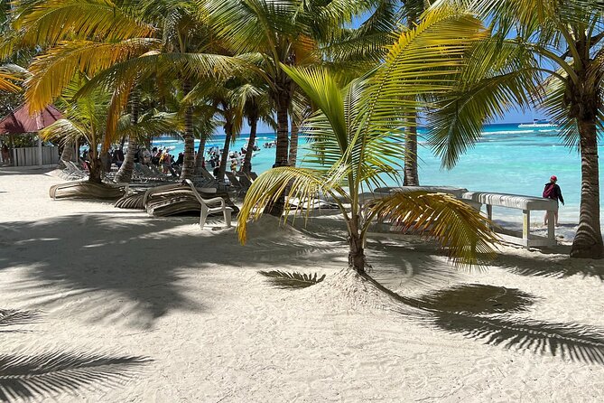 Saona Island Full Day Tour with Buffet Lunch, Paella, & Open Bar - Should You Book This Saona Island Tour With Paella and Open Bar?