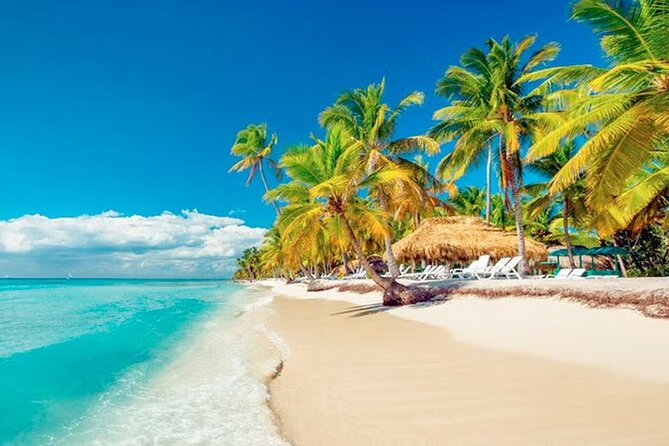 Saona Island Tour from Punta Cana with Lunch, Open Bar & Pickup - The Natural Pool Stop: The 45-Minute Swim Break