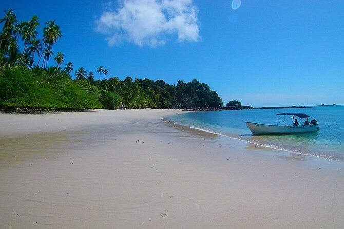 Saona Island Tour from Punta Cana with Lunch, Open Bar & Pickup - Lunch on Saona: Buffet Comfort With Caribbean Flavor