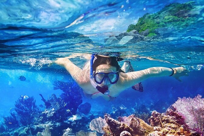 Saona Island Tour from Punta Cana with Lunch, Open Bar & Pickup - Price and Value: Is $68.55 Worth It?