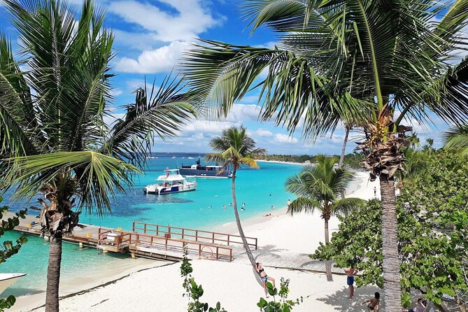 Saona Island Tour From Santo Domingo with Lunch, Open Bar, Pickup - The Early Pickup From Santo Domingo Sets the Tone