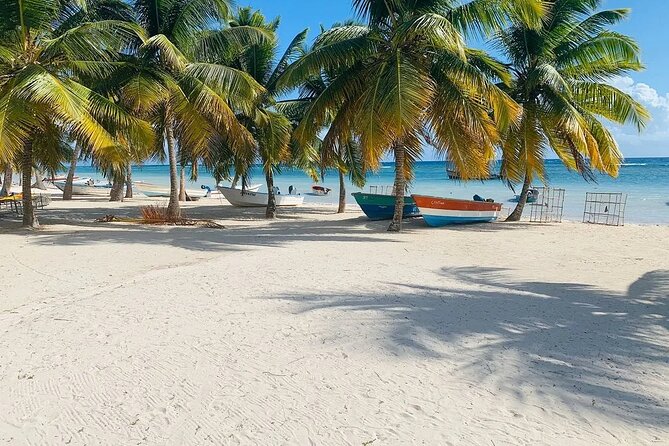 Saona Island Tour From Santo Domingo with Lunch, Open Bar, Pickup - Saona Island’s 3 Hours: Choose Your Mix of Snorkel and Chill