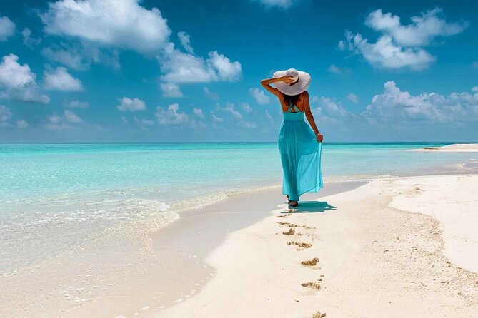Saona Island Tour From Santo Domingo with Lunch, Open Bar, Pickup - Transportation and Timing: What the 10 Hours Feels Like